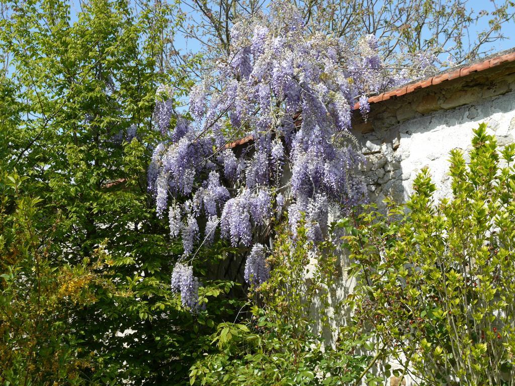 Gites De La Grande Ferme Avernes Cameră foto